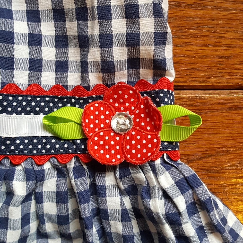 Baby girls 18 month picnic 4th of july dress - Picture 4 of 5